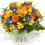 Buy Flowers Online New Zealand Delivery